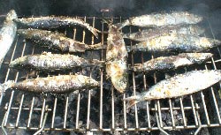 gebrillte sardinen