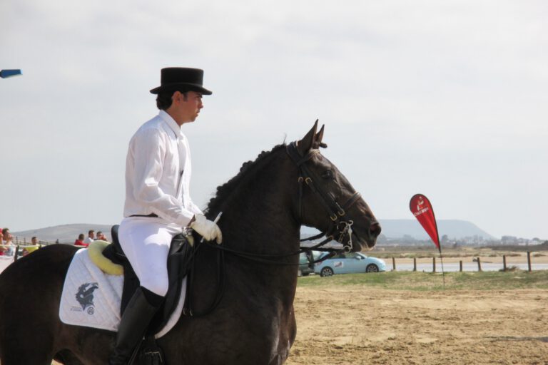 Reiten in Conil