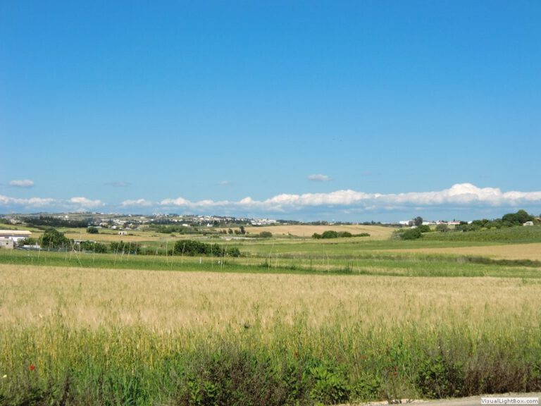 Campo Conil