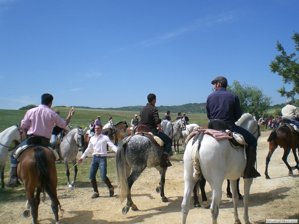 Feria in Naveros