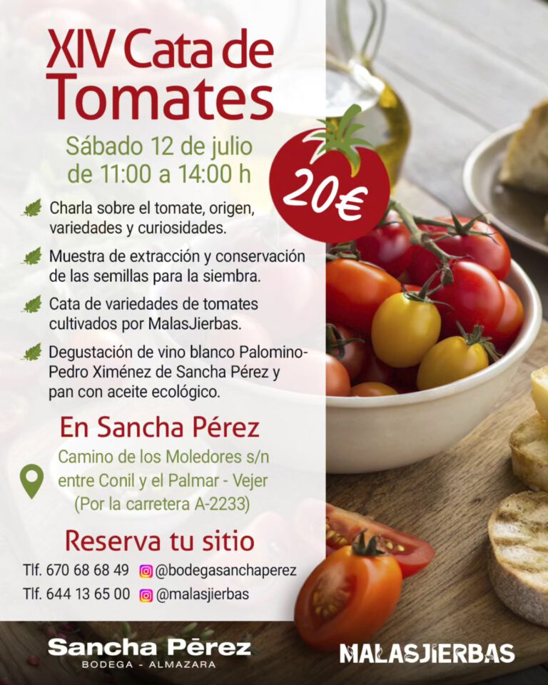 Tomaten uas Conil