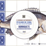 Borriqueter