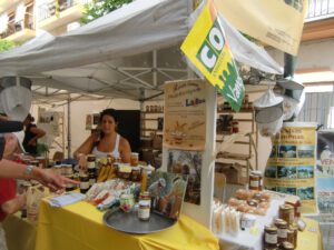 Gastronomie Conil