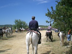 Bild 011