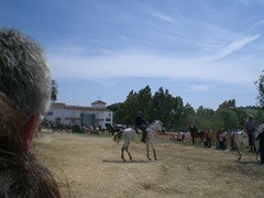 Bild 029