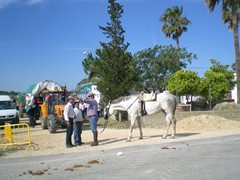 Bild 088