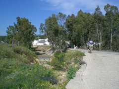 Bild 097