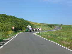 Bild 103