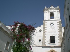 Tarifa-31